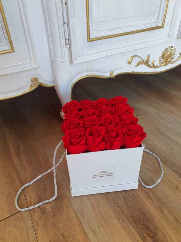 Luxury 16 Preserved Roses Box